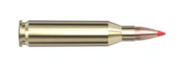 243W Hornady V-MAX 58gr