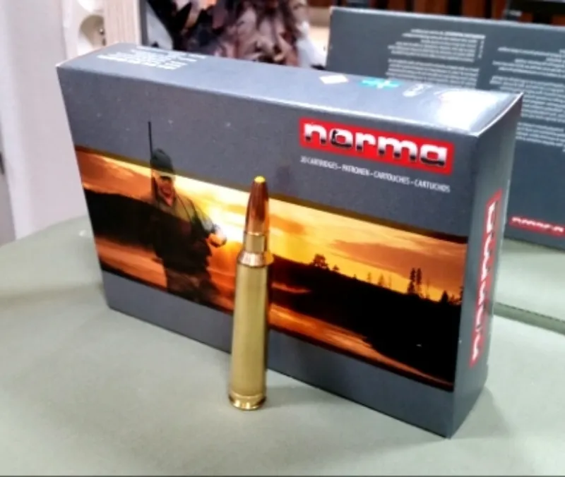 300 Win. Mag. Norma Plastspitz 11,7 g