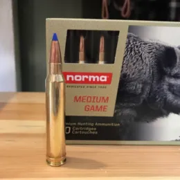 300 Win.Mag. Norma Bondstrike 11,7g