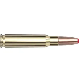 308W Hornady Precision ECX 165gr