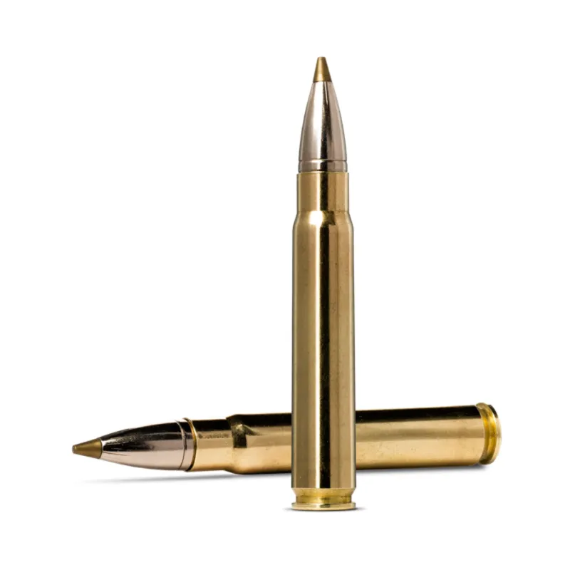 9,3x62 Norma Evostrike 11,9g